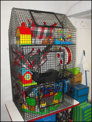 Rat cage on sale ottawa